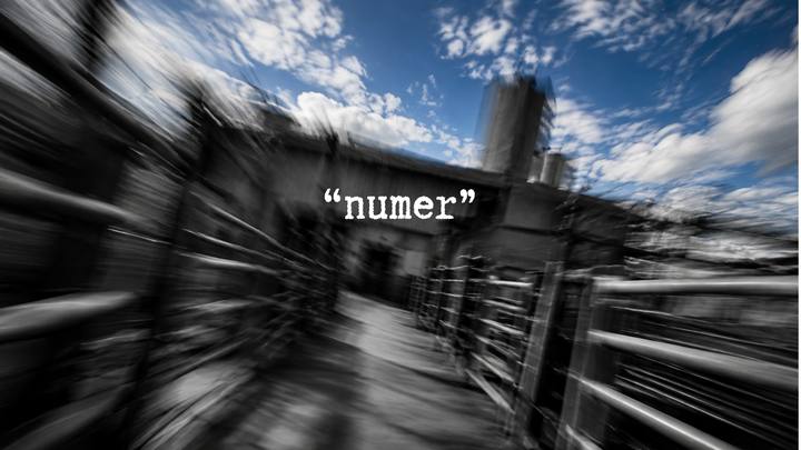 «номер»